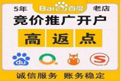 百度竞价赚钱技巧：案例分析